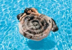 Intex Playful Pug Island Float -swimming pool supplies shop 170533 intext playful pug island float lifestyle