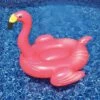 Swimline Giant Pink Flamingo Pool Float 1 Swimline Giant Pink Flamingo Pool Float -swimming pool supplies shop httpss3.us east 2.amazonaws.comwatsons cincinnatipoolpools miscpool accessories17082 giant pink flamingo lifestyle