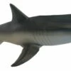 Sparky The Sharky Sea Swimmers -swimming pool supplies shop water sports sparky the sharky sea swimmers