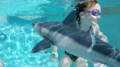 Sparky The Sharky Sea Swimmers -swimming pool supplies shop water sports sparky the sharky sea swimmers 3